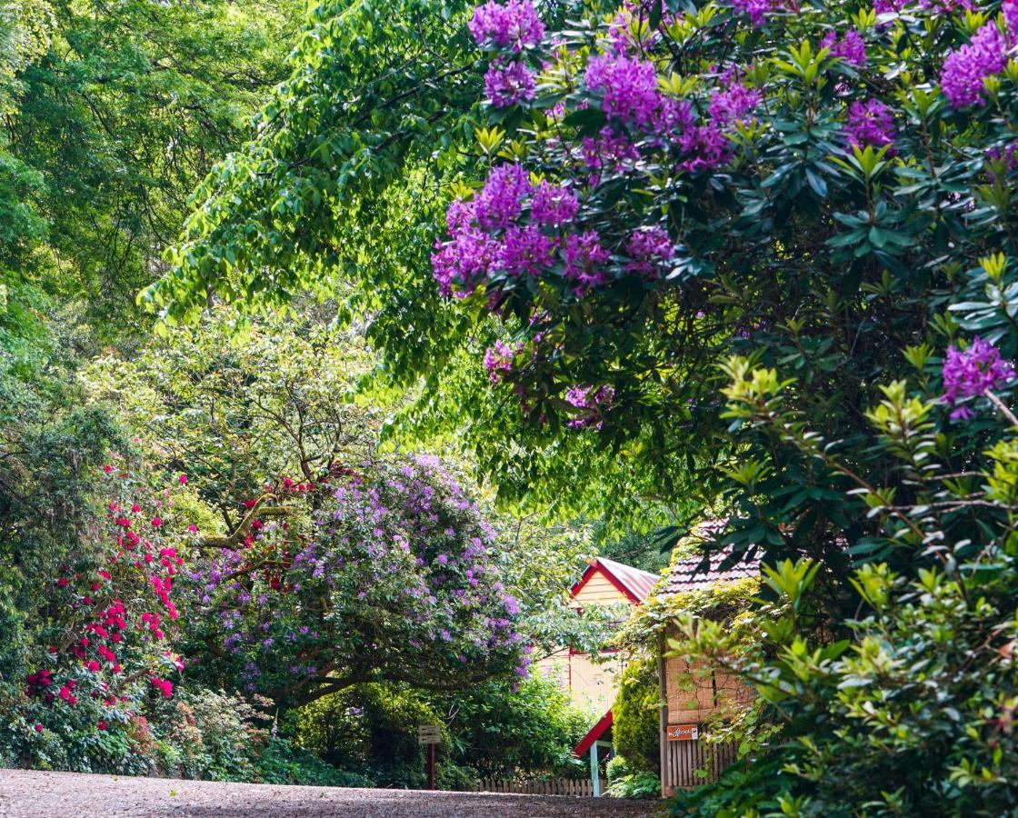 Arnica Views Summit Retreat Bed & Breakfast Mount Dandenong Luaran gambar